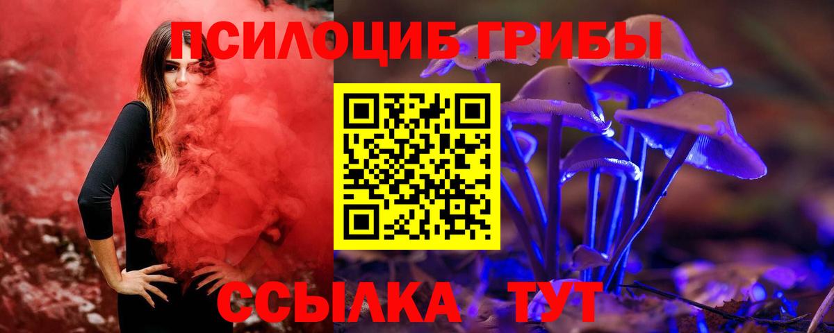наркошоп  Галлюциногенные грибы Psilocybine cubensis  Вход с VPN  Спасск-Дальний 